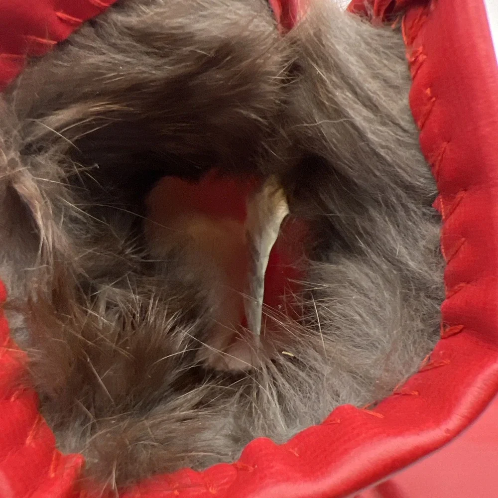 Vintage Red Dress Gloves Rabbit Fur Trim Cuff Sz M/L Fits XS Kids Petite Retro